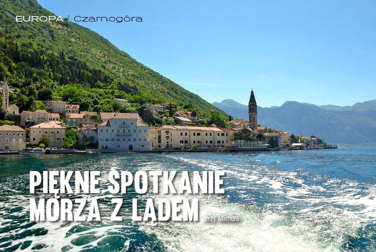 Losowy darmowy artykuł